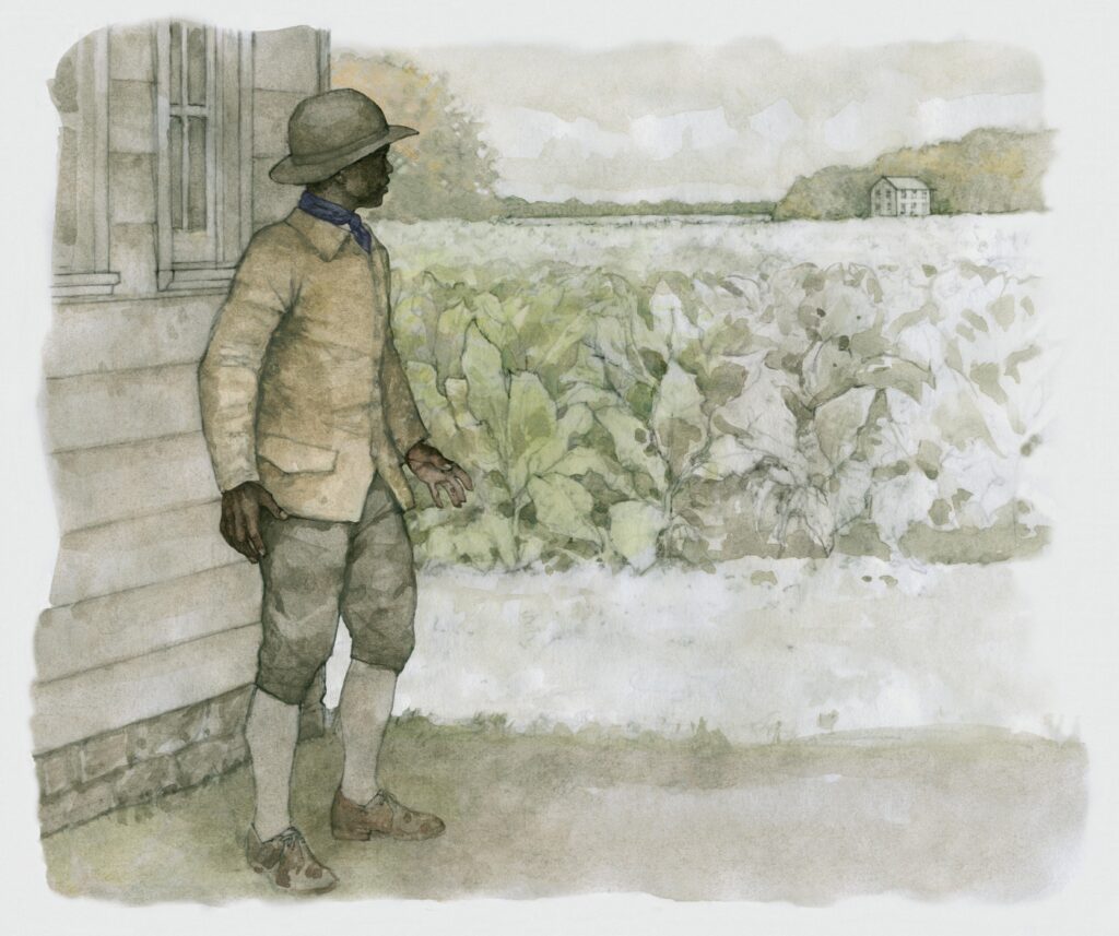 Watercolor of an African American standing at a plantation field, illustration by Wood Ronsaville Harlin, Inc