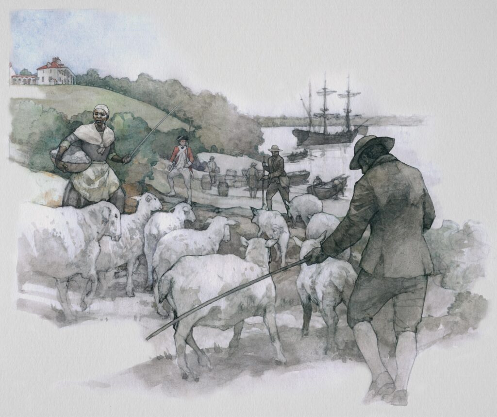 Watercolor of African Americans herding sheep by the shoreline, illustration by Wood Ronsaville Harlin, Inc
